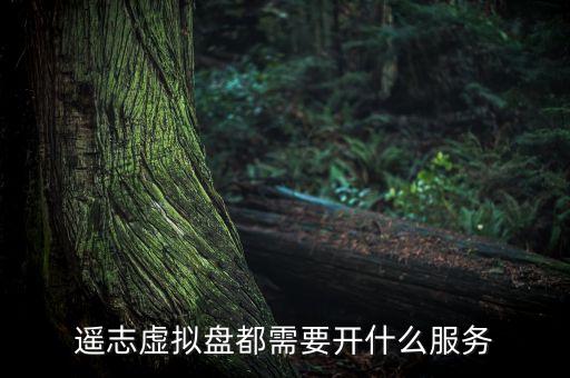 遙志虛擬盤都需要開什么服務(wù)