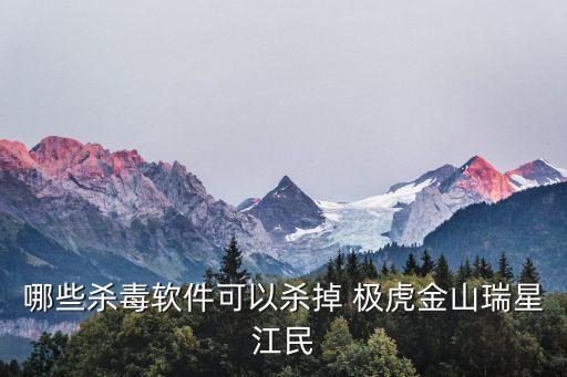 極虎,極虎是一個概念而非病毒!