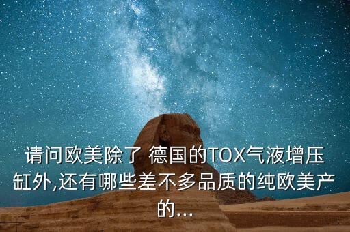 請問歐美除了 德國的TOX氣液增壓缸外,還有哪些差不多品質的純歐美產的...