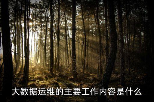 大數(shù)據(jù)運(yùn)維的主要工作內(nèi)容是什么