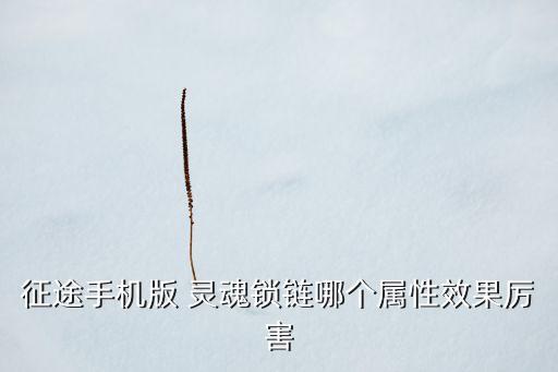征途手機(jī)版 靈魂鎖鏈哪個屬性效果厲害