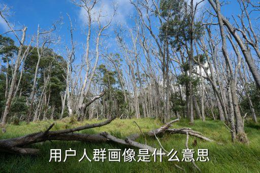 用戶人群畫像是什么意思