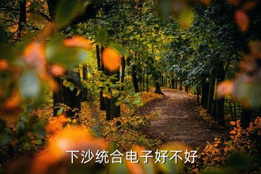  下沙統(tǒng)合電子好不好