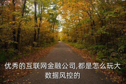 風(fēng)險數(shù)據(jù)模型,數(shù)據(jù)模型包括數(shù)據(jù)結(jié)構(gòu)和操作規(guī)則