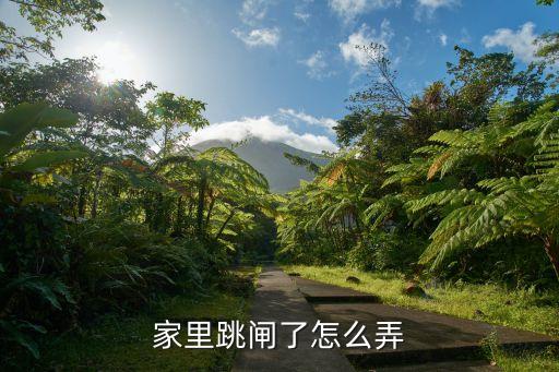 家里跳閘了怎么弄