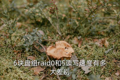 6塊盤組raid0和5讀寫速度有多大差別