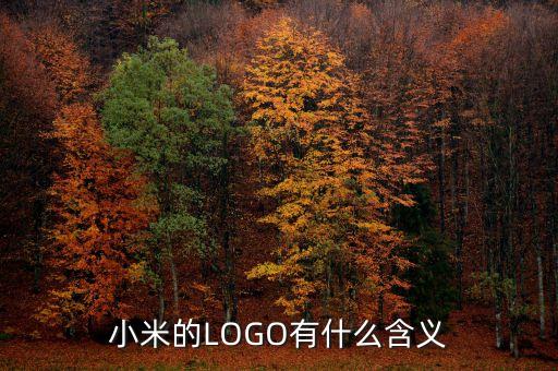 小米的LOGO有什么含義
