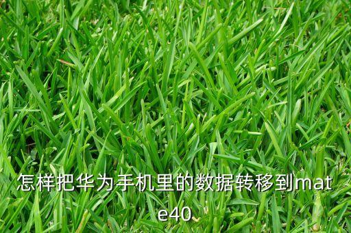 華為手機(jī)遷徙數(shù)據(jù),華為手機(jī)怎么導(dǎo)數(shù)據(jù)到別的手機(jī)