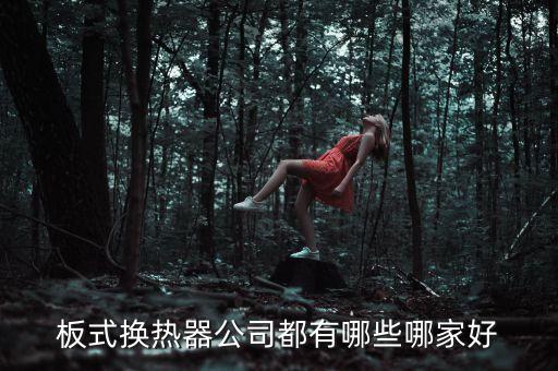 板式換熱器公司都有哪些哪家好