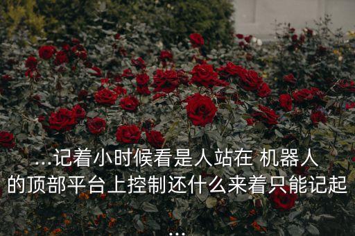 ...記著小時(shí)候看是人站在 機(jī)器人的頂部平臺(tái)上控制還什么來(lái)著只能記起...