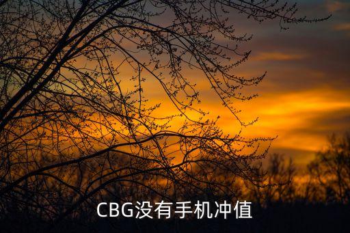 CBG沒有手機(jī)沖值