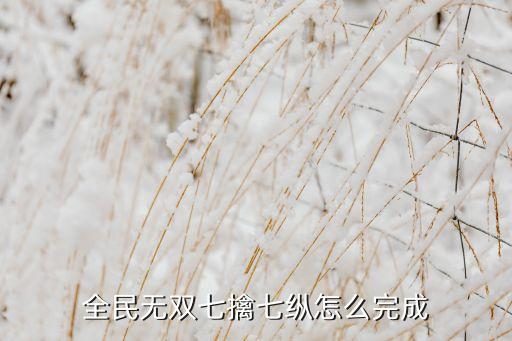 全民無雙七擒七縱怎么完成