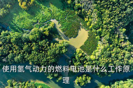 氫能電池，什么是氫燃料電池