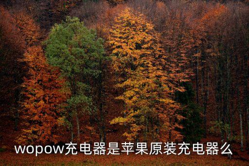 wopow充電器是蘋果原裝充電器么