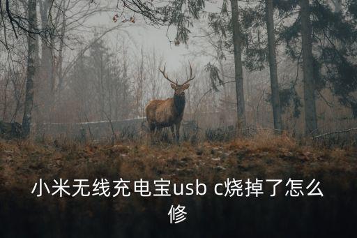 小米無(wú)線充電寶，小米無(wú)線充電寶usb c燒掉了怎么修