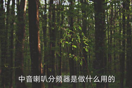 中音喇叭,關(guān)閉式中音喇叭要音箱嗎?