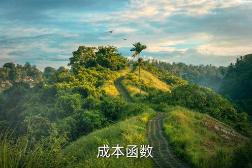 成本函數(shù)