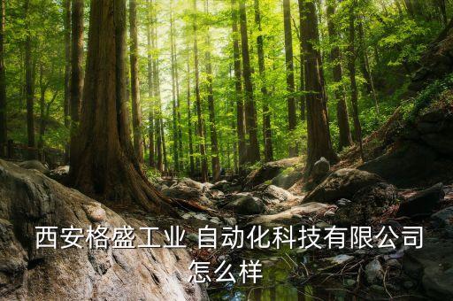 西安自動(dòng)化設(shè)備設(shè)計(jì)開發(fā),西安友和自動(dòng)化設(shè)備有限公司