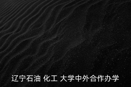 遼寧石油 化工 大學(xué)中外合作辦學(xué)