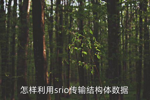 srio，SRIO一般是通過ID信號來進行數(shù)據(jù)通信的能否將發(fā)起者的ID和接收