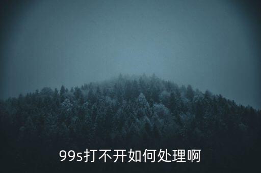 99s打不開(kāi)如何處理啊