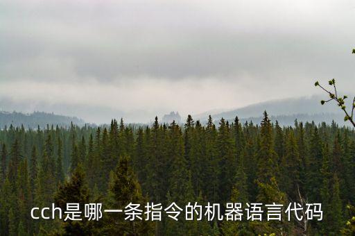 cch是哪一條指令的機(jī)器語(yǔ)言代碼