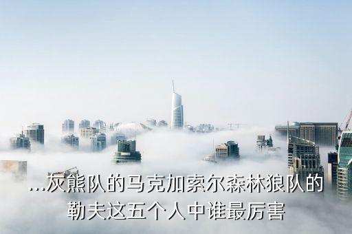 ...灰熊隊(duì)的馬克加索爾森林狼隊(duì)的勒夫這五個(gè)人中誰(shuí)最厲害