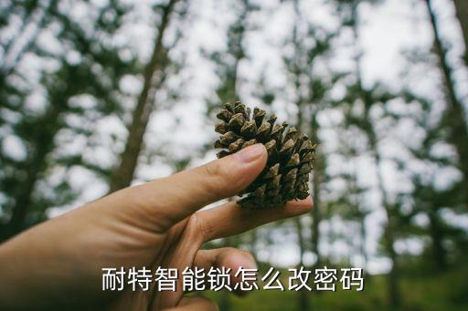 智能門鎖怎么改密碼，歩陽密碼防盜門如何修改密碼