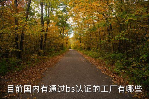 目前國(guó)內(nèi)有通過bs認(rèn)證的工廠有哪些