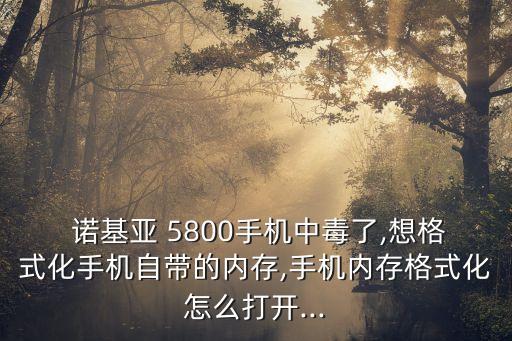  諾基亞 5800手機(jī)中毒了,想格式化手機(jī)自帶的內(nèi)存,手機(jī)內(nèi)存格式化怎么打開...