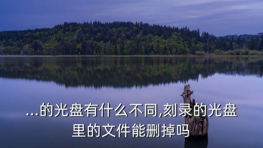 ...的光盤有什么不同,刻錄的光盤里的文件能刪掉嗎