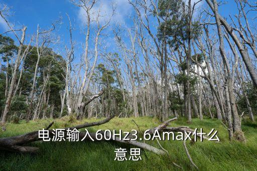 電源輸入60Hz3.6Amax什么意思