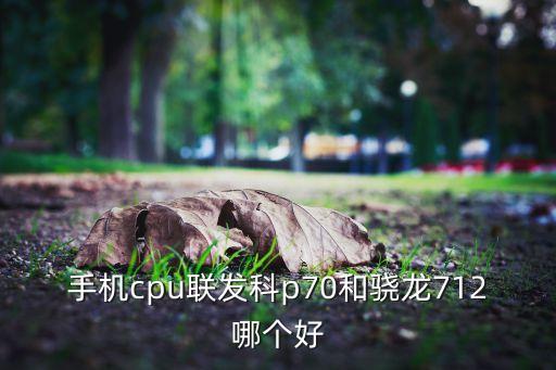 手機(jī)cpu聯(lián)發(fā)科p70和驍龍712哪個(gè)好