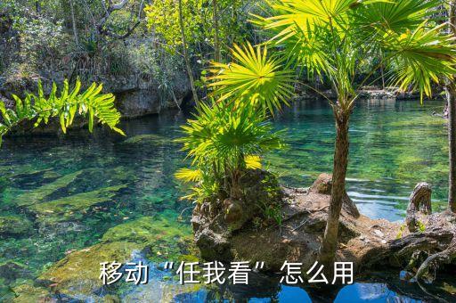 移動(dòng)“任我看”怎么用