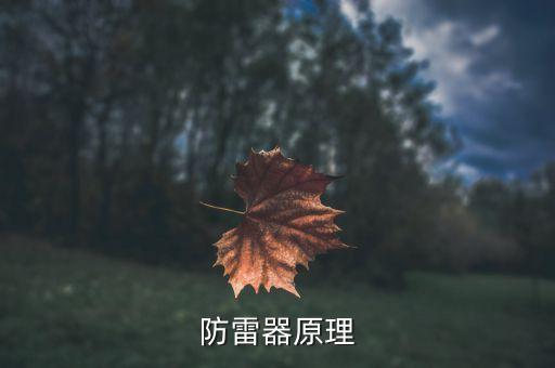 避雷器的工作原理，避雷器的工作原理是什么樣的