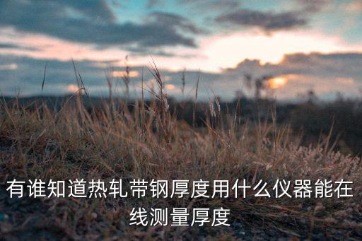 有誰(shuí)知道熱軋帶鋼厚度用什么儀器能在線測(cè)量厚度