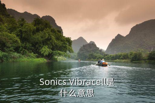 Sonics Vibracell是什么意思