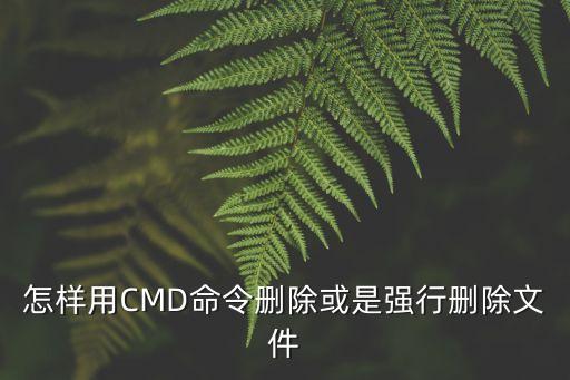 怎樣用CMD命令刪除或是強行刪除文件