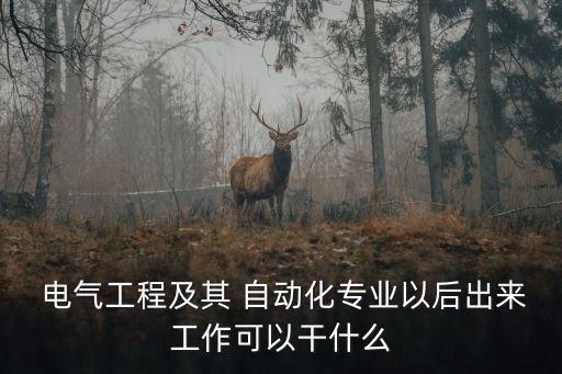  電氣工程及其 自動化專業(yè)以后出來工作可以干什么