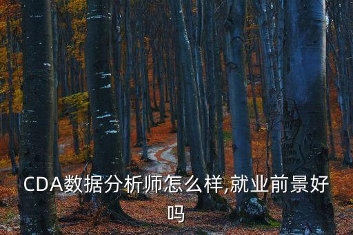 CDA數(shù)據(jù)分析師怎么樣,就業(yè)前景好嗎