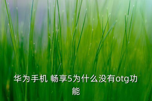 華為手機 暢享5為什么沒有otg功能