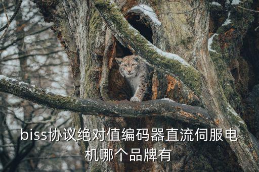 印刷行業(yè)伺服自動(dòng)化設(shè)備,那些自動(dòng)化設(shè)備還能用在什么行業(yè)?