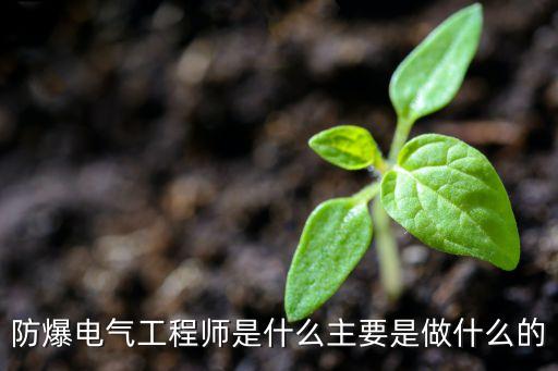 防爆電氣工程師是什么主要是做什么的