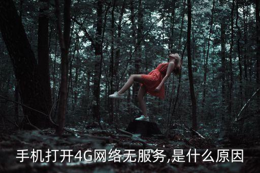 啟用4g單數(shù)據(jù) 無信號,手機(jī)沒信號怎么回事?