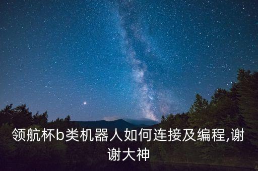 領(lǐng)航杯b類機(jī)器人如何連接及編程,謝謝大神