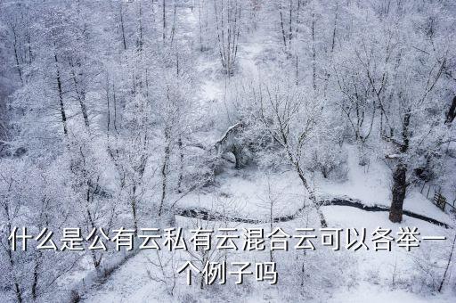 什么是公有云私有云混合云可以各舉一個例子嗎