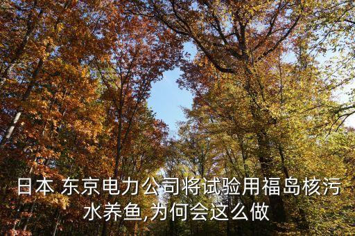 東京電力公司,日本東京電力公司將試驗用福島核污水養(yǎng)魚