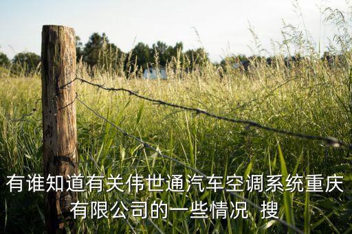 有誰知道有關偉世通汽車空調(diào)系統(tǒng)重慶有限公司的一些情況  搜