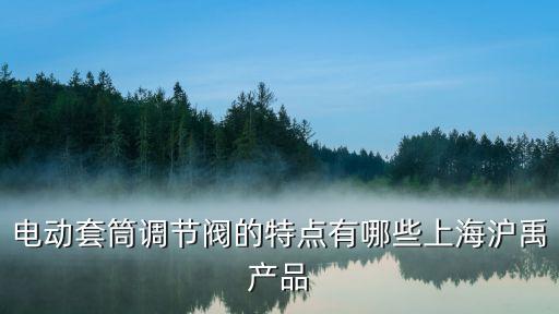 套筒閥，電動(dòng)套筒調(diào)節(jié)閥的特點(diǎn)有哪些上海滬禹產(chǎn)品