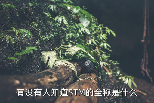 有沒有人知道STM的全稱是什么
